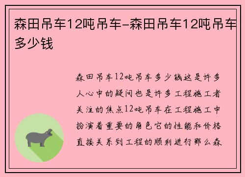 森田吊车12吨吊车-森田吊车12吨吊车多少钱