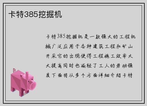 卡特385挖掘机