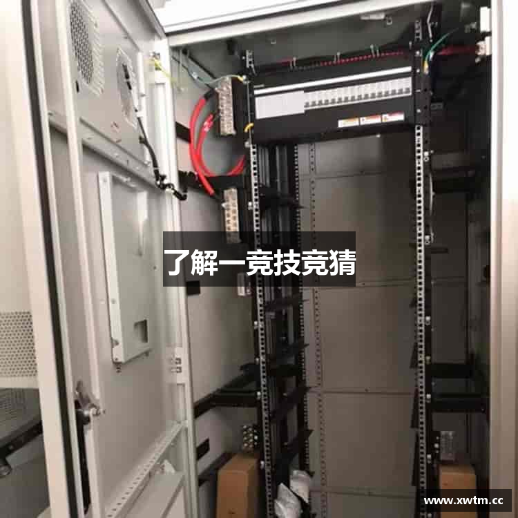 了解一竞技竞猜